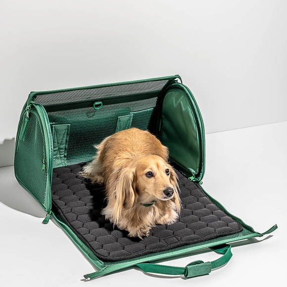 Wild One Travel Dog Carrier Green (Spruce) with Detachable Strap - Picture 5 of 10